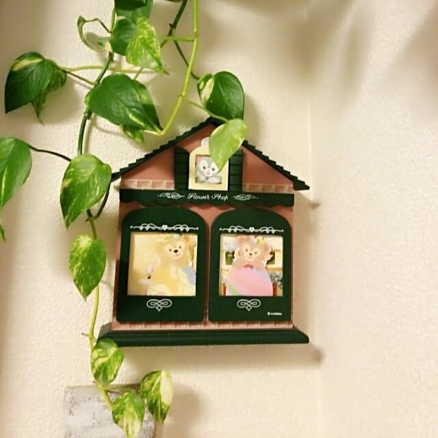 hamichanさんの実例写真