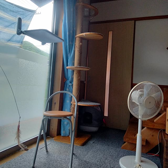 makaronさんの実例写真