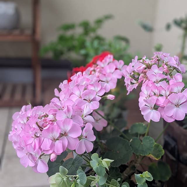 reeさんの部屋