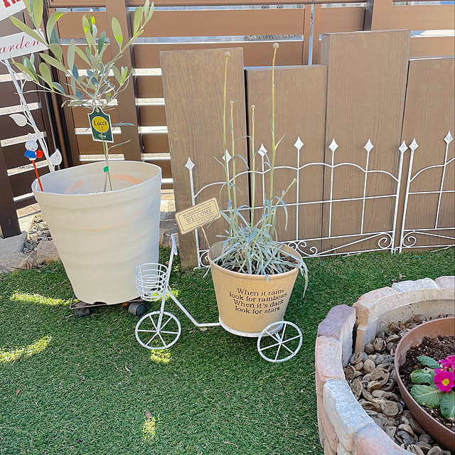 Minoriさんの実例写真