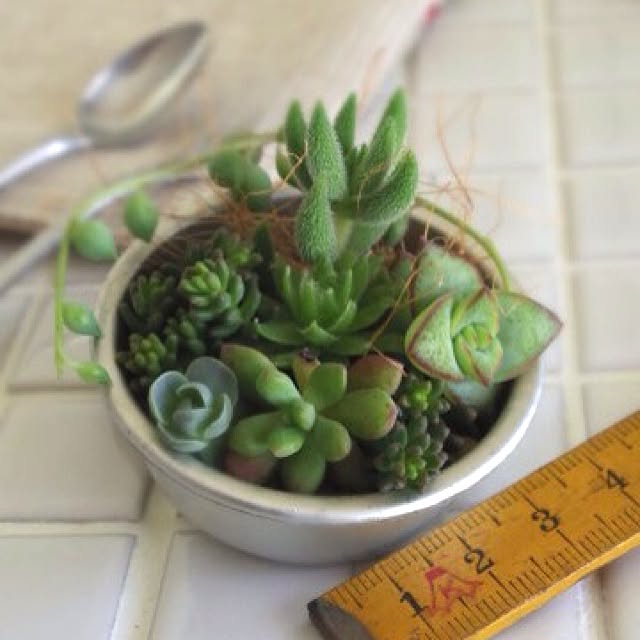mooさんの実例写真