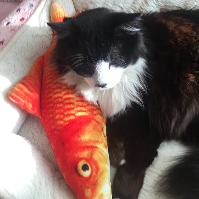 kanaさんの実例写真