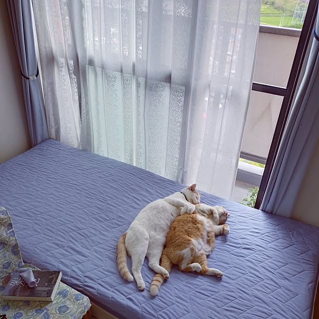 NOAHさんの部屋