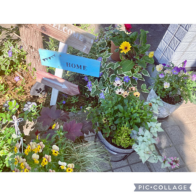 CoCo0617さんの部屋