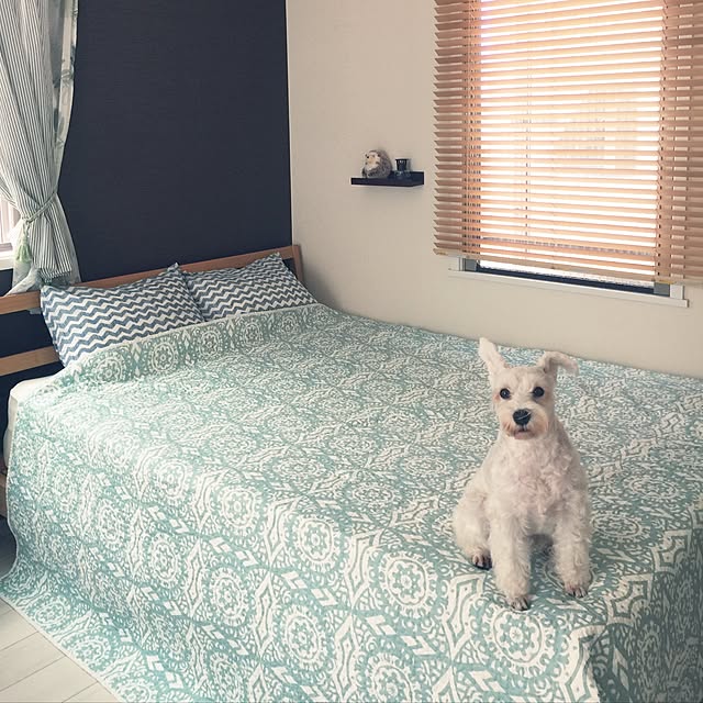 suzyさんの実例写真