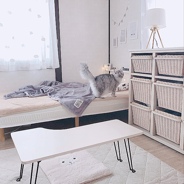 猫との暮らし/ペットのいる暮らし/猫のいる日常/ヘッドボードDIY/ベッドサイド...などのインテリア実例 - 2020-10-04 23:13:22