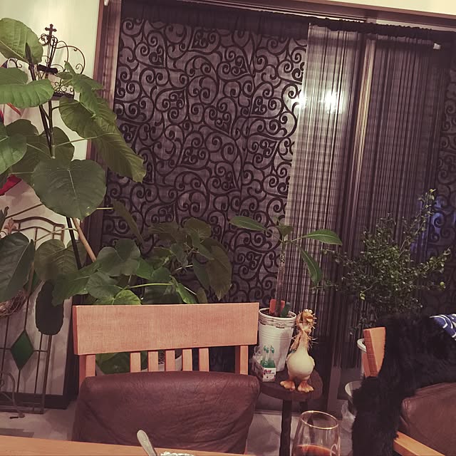 kobuさんの実例写真