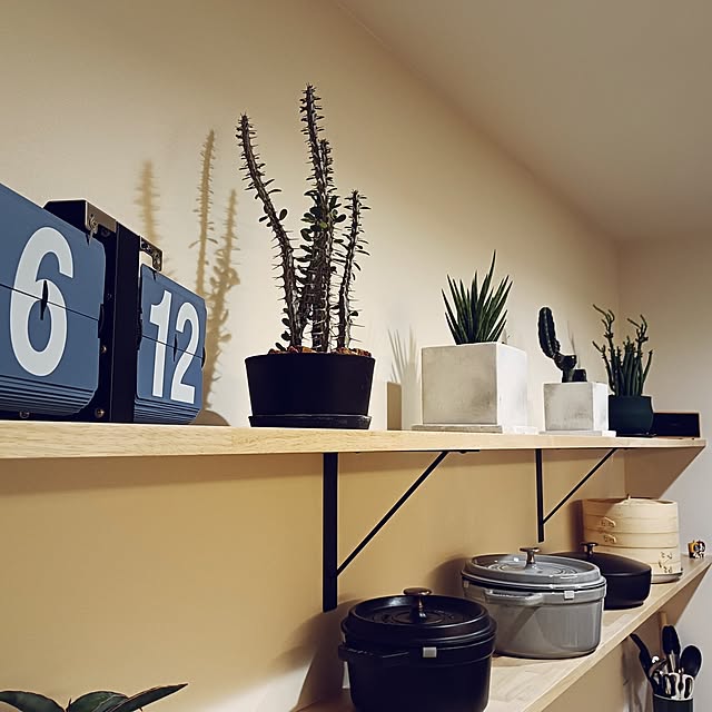 satochiさんの実例写真