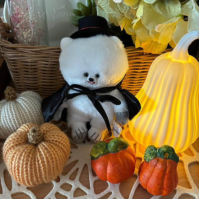 funyatoroさんの実例写真