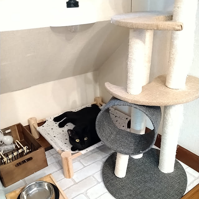 Tさんの実例写真