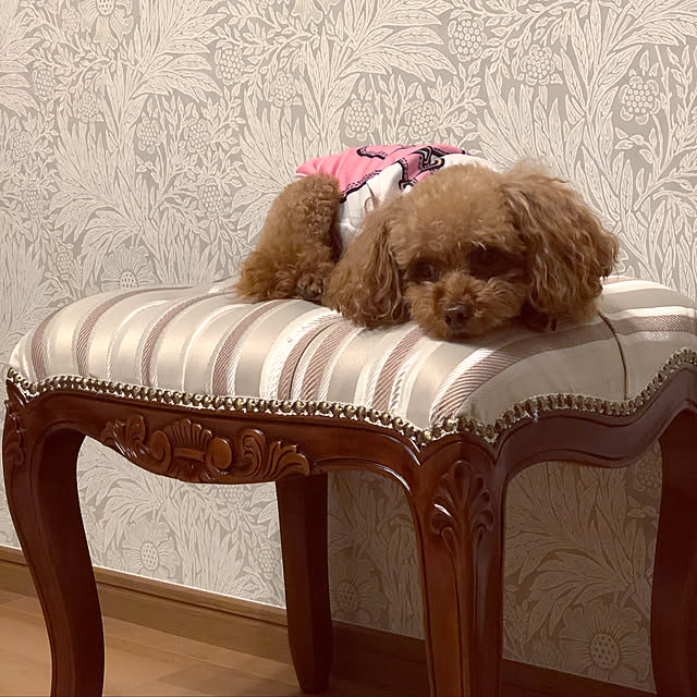 Tiaraさんの実例写真