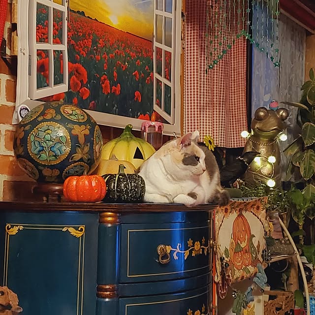 kumutanさんの実例写真