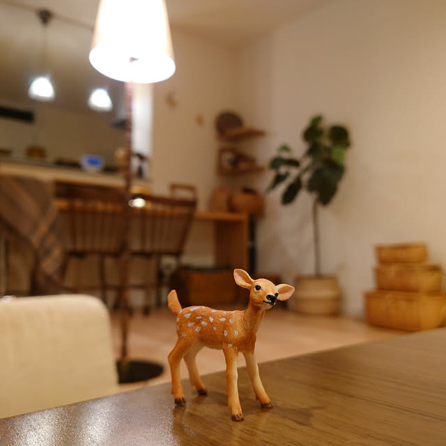 anri193さんの実例写真