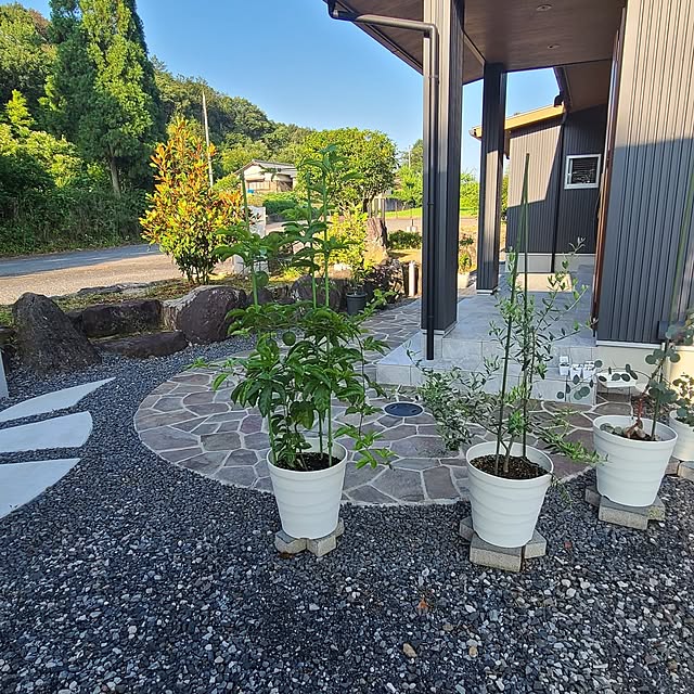 Rubiconさんの実例写真