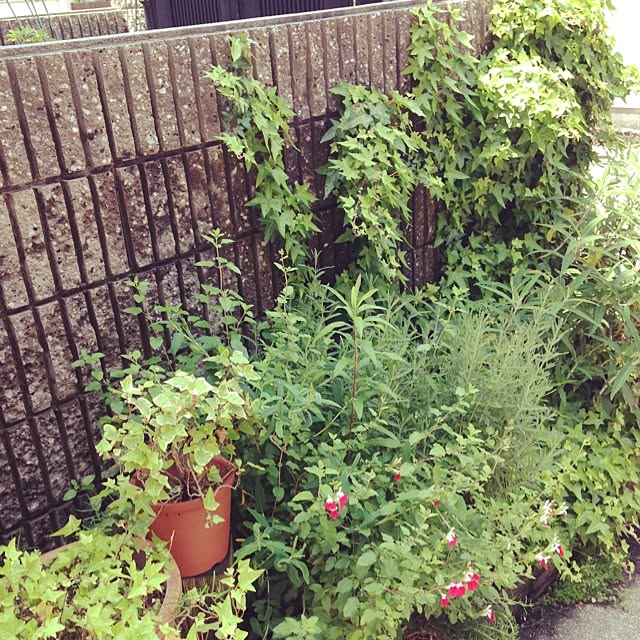 rinkoさんの実例写真
