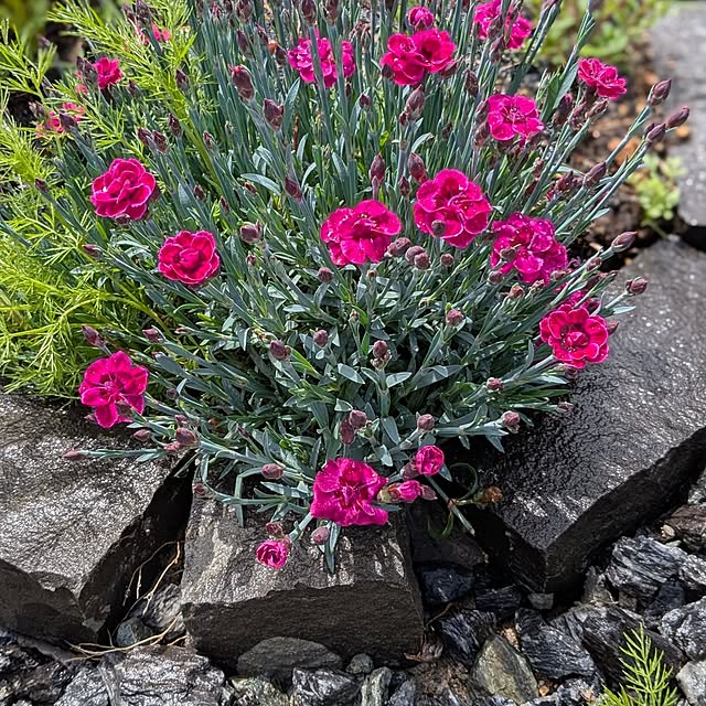 PEROさんの実例写真