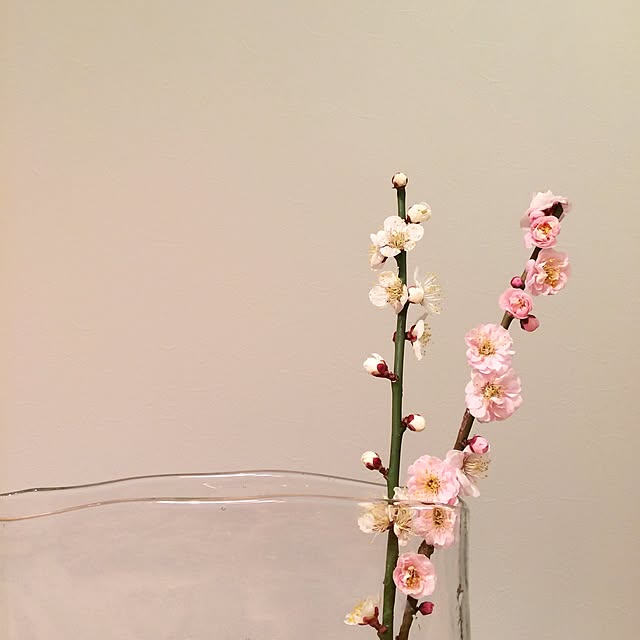 Minakoさんの実例写真