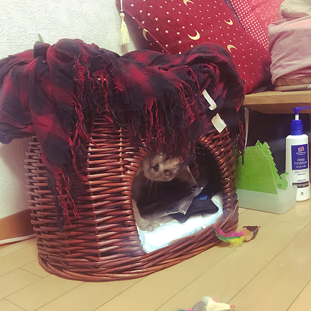 madaraさんの実例写真