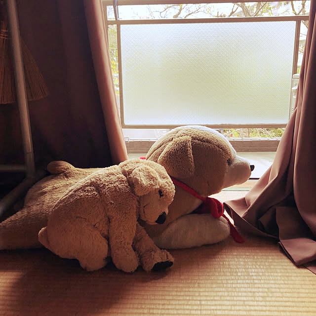 natsuori7さんの実例写真