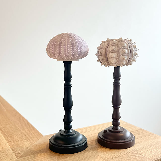 emiliさんの部屋