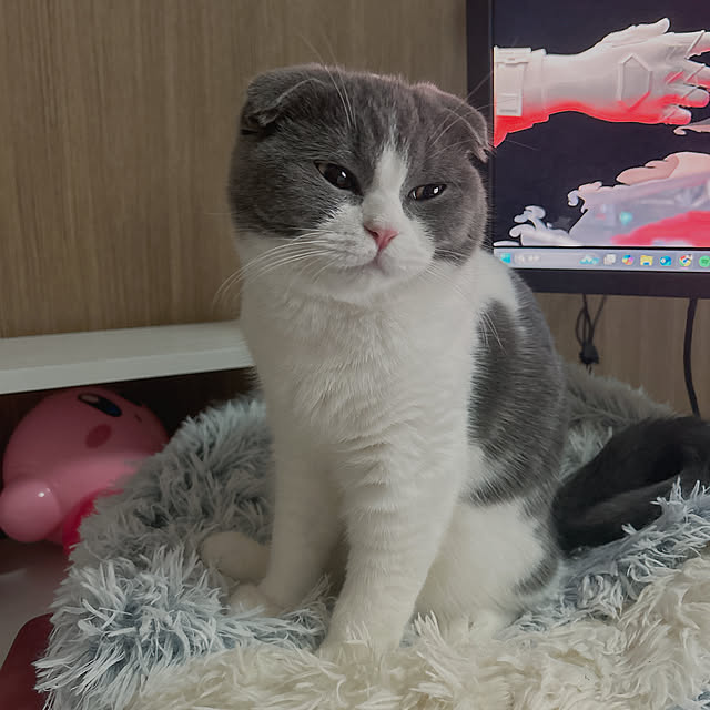 reboさんの部屋