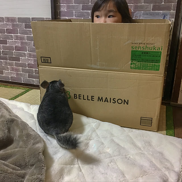 bambiさんの実例写真