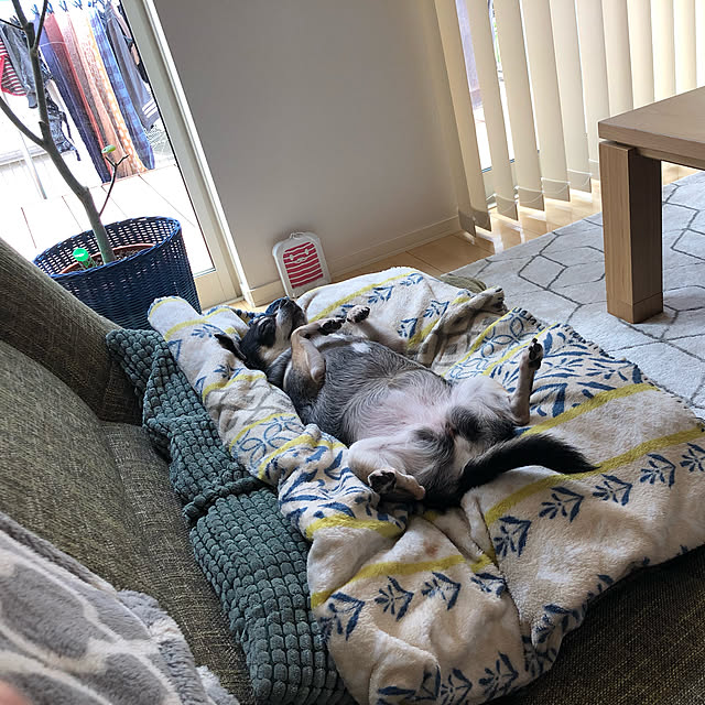 YMZKさんの実例写真