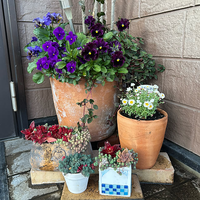 ritsukoさんの実例写真