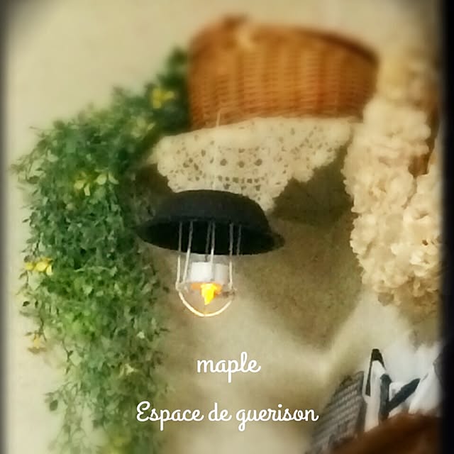 mapleさんの実例写真