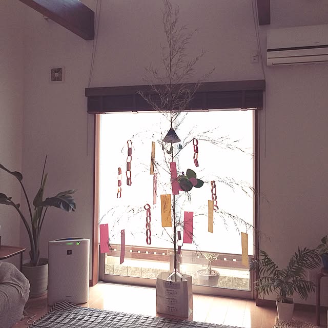 shihoさんの実例写真