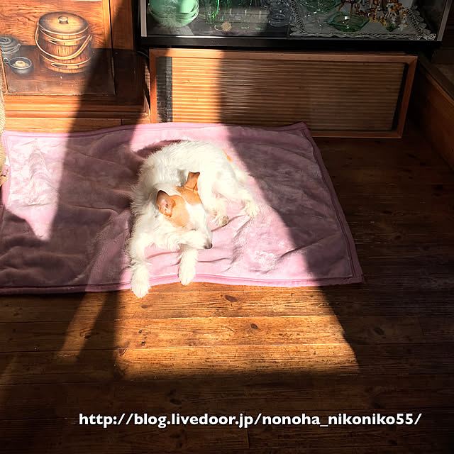 20rose_mamiさんの実例写真