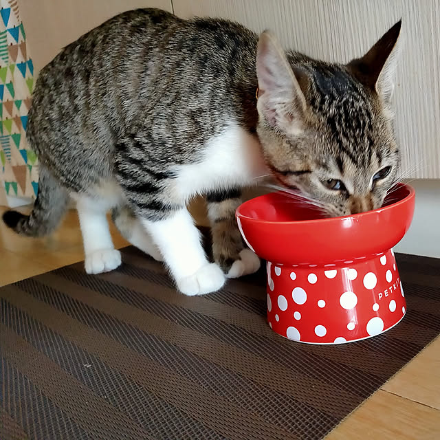 Ai_Mさんの実例写真