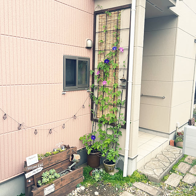 pekoさんの実例写真