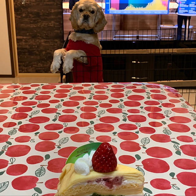 emiさんの実例写真