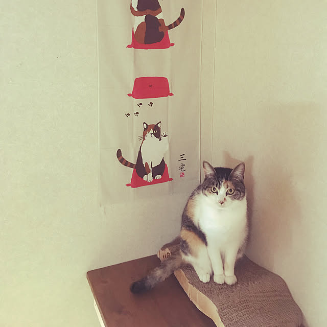 1013さんの実例写真
