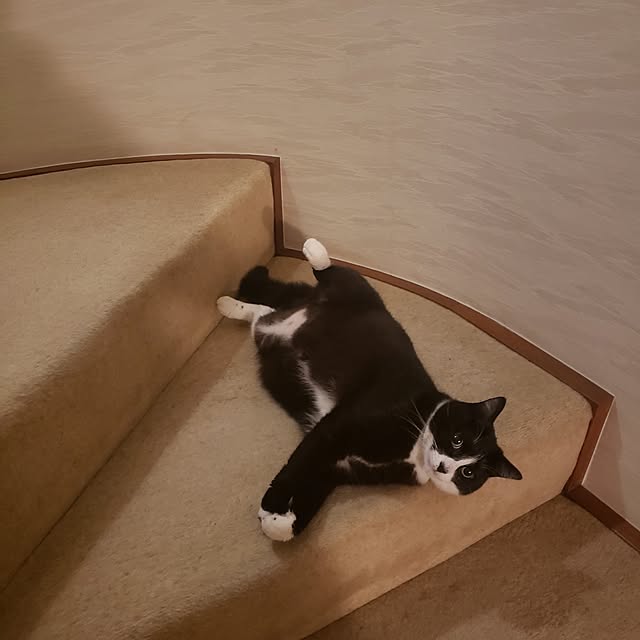 Mayumi8888さんの実例写真