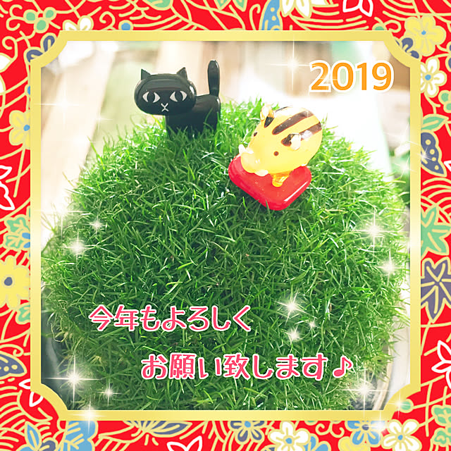 soraさんの実例写真