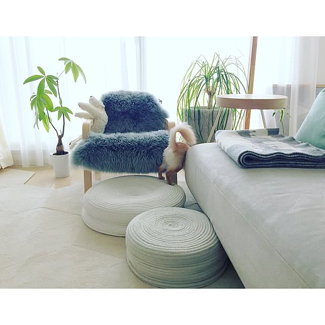 haruhinaさんの実例写真