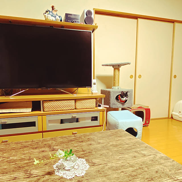 moolさんの実例写真