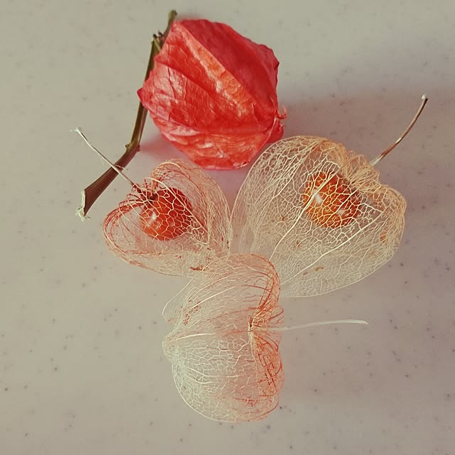 cocosorasakuさんの実例写真