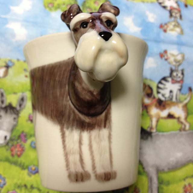 MilkPonyさんの実例写真