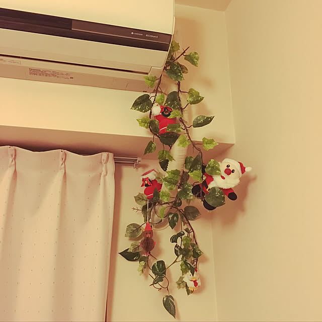 sayaさんの実例写真