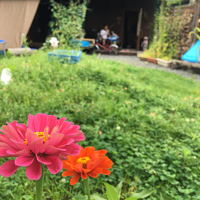 kozakura10さんの実例写真