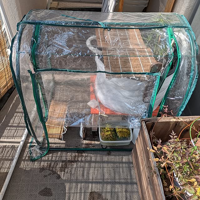 mi-saさんの実例写真