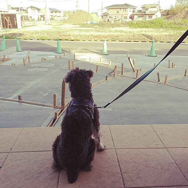 HoshiYukiさんの実例写真