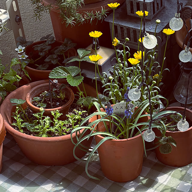 madamkaoriさんの実例写真