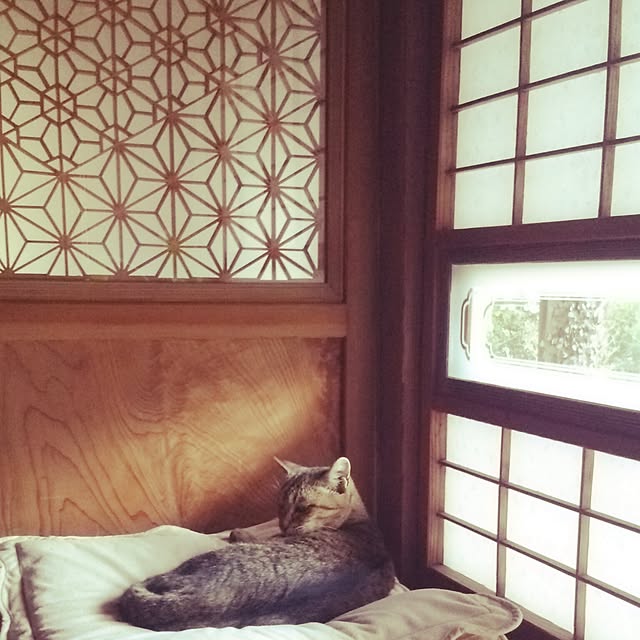 iridescent1115さんの実例写真