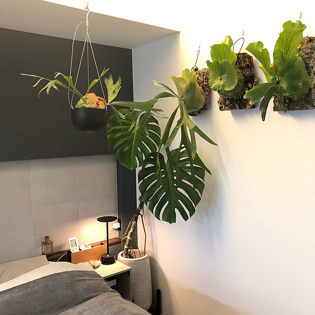 nuruiさんの部屋