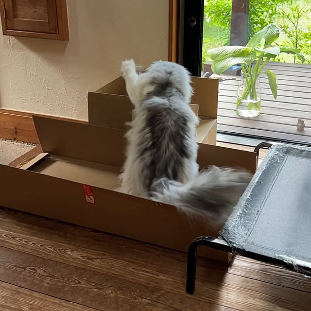Kikko.さんの部屋