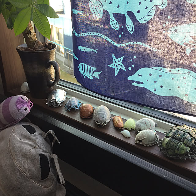 koroさんの実例写真